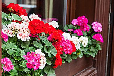 KK怀旧专区又放大招，经典生存地图唤醒热血记忆！